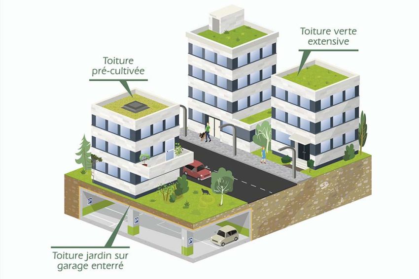 La membrane de drainage, clé de réussite des toitures vertes