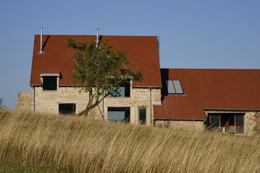 Polyvalent et pérenne